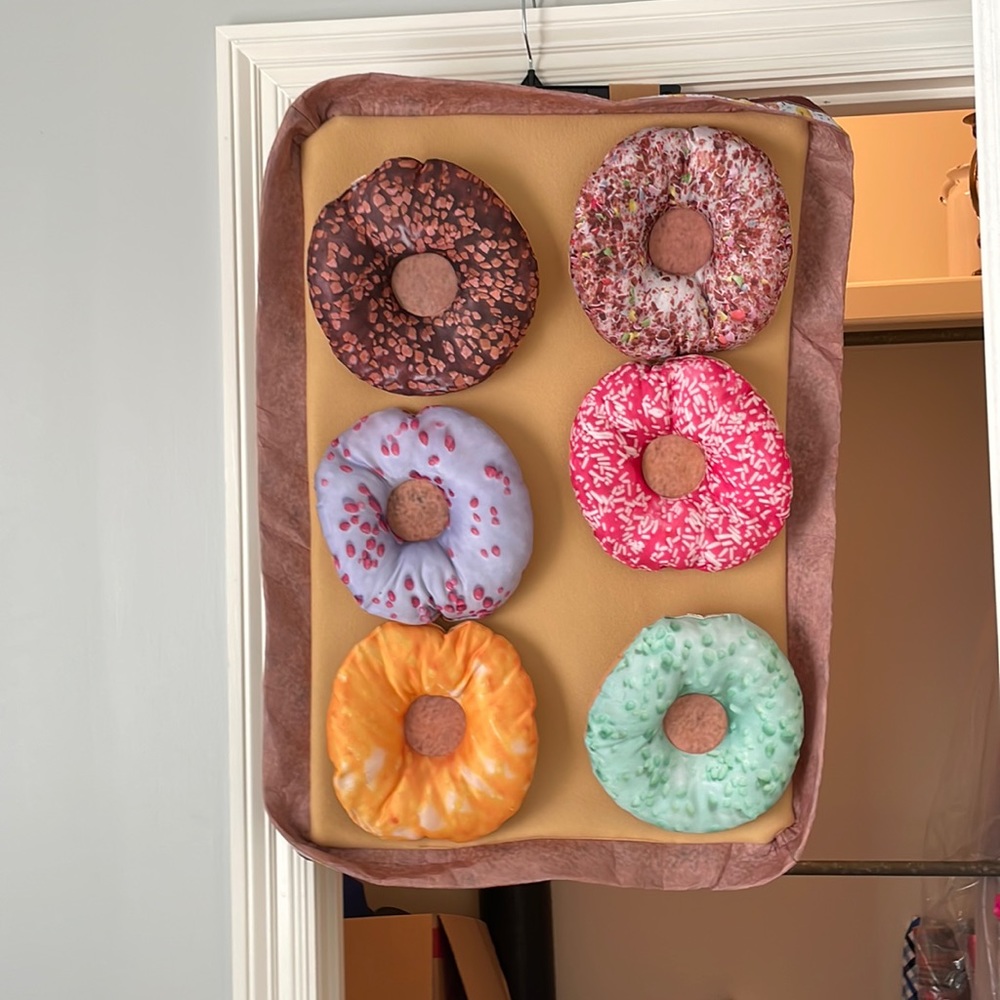 Costume! Box of donuts with removable donuts (Velcro) and adjustable straps
